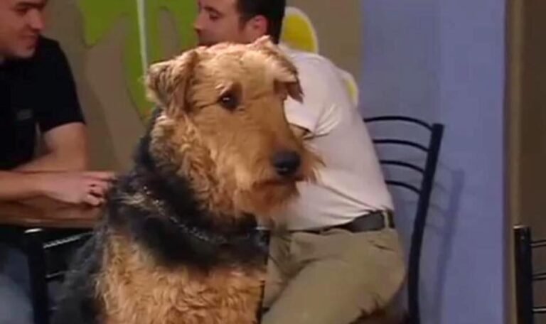 10/10 μόνο με θαύμα: Θα βρεις 10 σειρές από μία μόνο φωτογραφία;