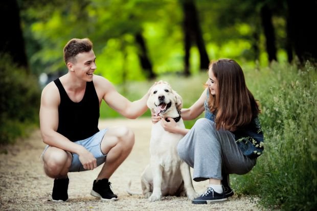 Σε κακούργημα μετατρέπεται το αδίκημα του βασανισμού ζώων