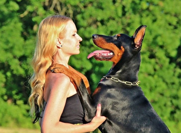 Όλο και περισσότεροι άνθρωποι παντρεύονται τα ζώα τους, αυτός είναι ο λόγος!