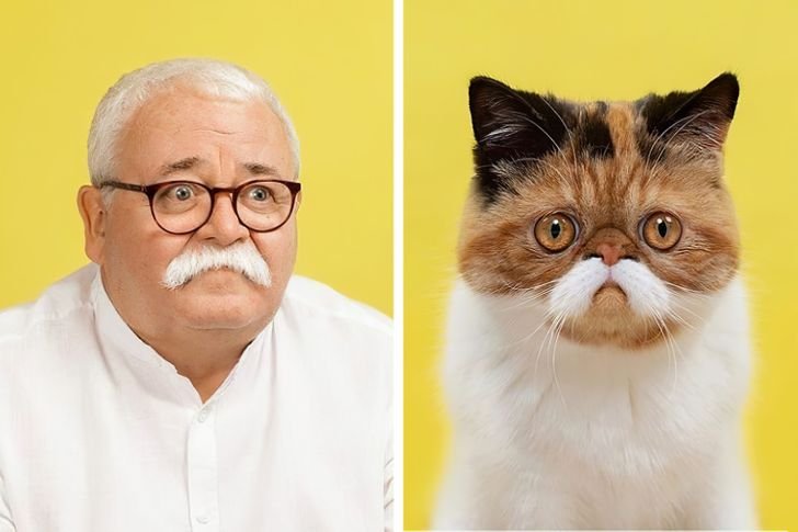 Φωτογράφος συγκρίνει τα πορτρέτα ζώων με τους ιδιοκτήτες τους και οι ομοιότητες είναι τεράστιες!