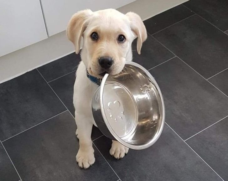 10 φωτογραφίες που θα σου φτιάξουν την διάθεση και θα μπει καλά ο μήνας!