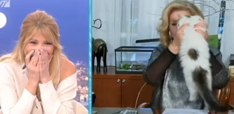 Επίθεση, όχι αστεία: Γάτα επιτέθηκε στην Λίτσα Πατέρα στον αέρα εκπομπής(video)