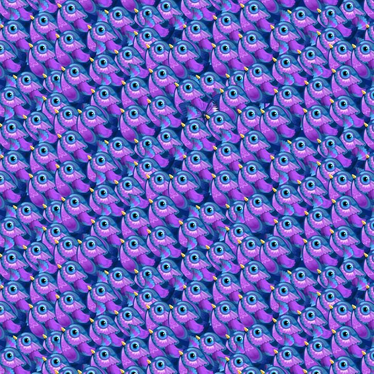 Τεστ παρατηρητικότητας: Θα βρεις στις φωτογραφίες αυτό που θα σου ζητήσουμε;