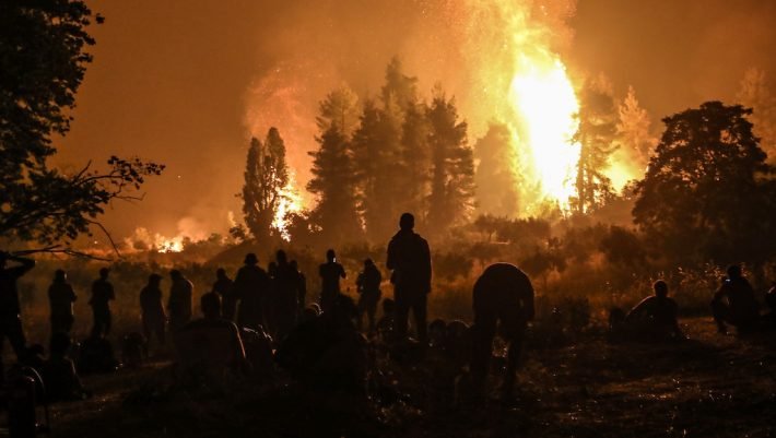 «Φυτεύετε πεύκα γιατί δεν έχετε ιδέα»: Τα 7 δέντρα που μισεί η φωτιά είναι ο πιο απλός τρόπος για να τη σβήσεις
