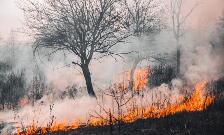 «Τους άφησαν να καούν»: Οι 3 λόγοι που τα αεροπλάνα αντιμετωπίζουν ανυπέρβλητες δυσκολίες στην Εύβοια