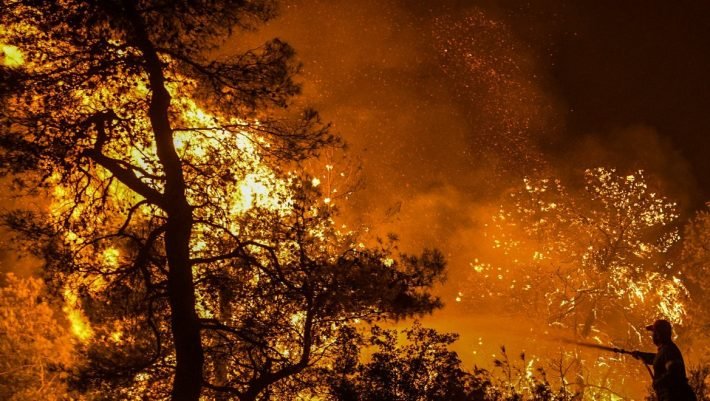 «Γιατί δεν το κάνατε τόσες μέρες;»: Η απάντηση των Ελλήνων για τη φωτιά που άφησε με ανοιχτό το στόμα τους Ρουμάνους πυροσβέστες