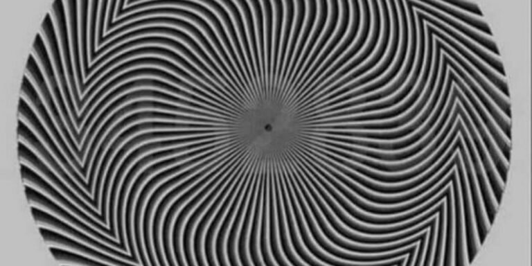 H οφθαλμαπάτη που έχει τρελάνει το internet σήμερα: Εσύ ποιον αριθμό (νομίζεις) ότι βλέπεις στην εικόνα;