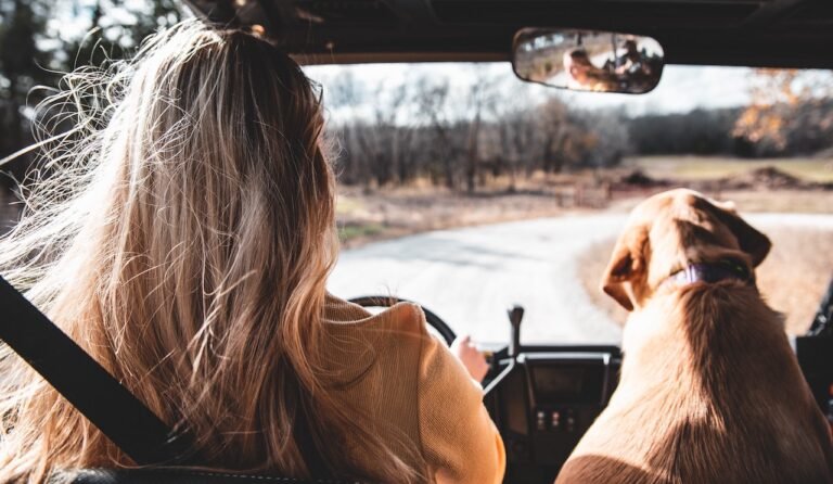 Μη βρεθείς στον δρόμο του: Αυτό το ζώδιο είναι με διαφορά ο χειρότερος οδηγός