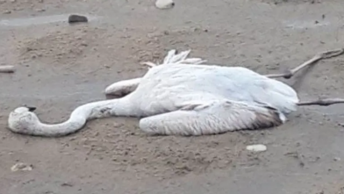 Ντρέπεται κανείς γι’ αυτή την εικόνα στην Ελλάδα του 2023;