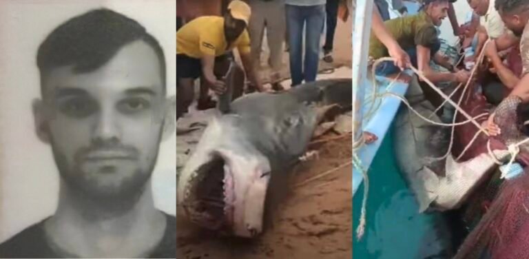 Ανατριχίλα: Αυτά είναι τα μακάβρια ευρήματα από το στομάχι του καρχαρία που κατασπάραξε τον 23χρονο Ρώσο (Vid)