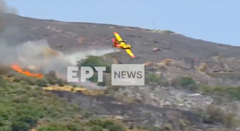 Φωτό-ντοκουμέντο: Η στιγμή που το Canadair χτυπάει στο δέντρο και χάνει το φτερό του (Pics)