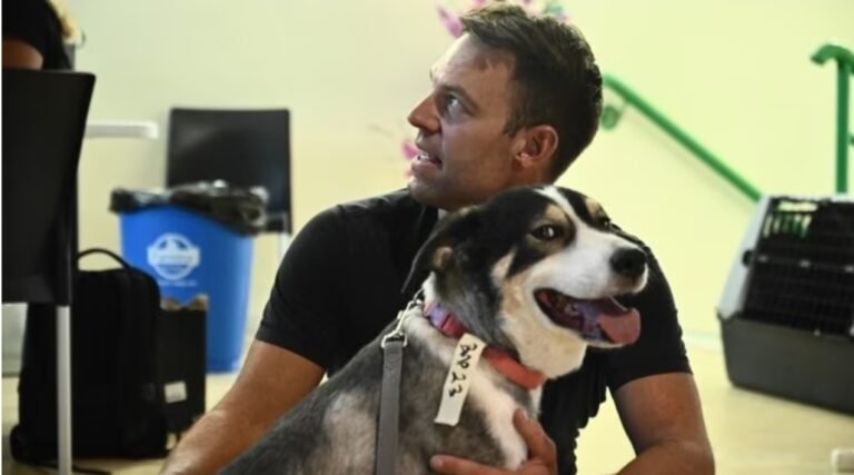 Η Φάρλι απέκτησε παρέα: Ο Στέφανος Κασσελάκης υιοθέτησε πυρόπληκτο σκυλάκι! (Εικόνες)